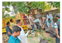 🐂 रायपुर में सांड का आतंक: सड़क पर 15 लोगों पर हमला, कांग्रेस नेता समेत कई घायल; वन विभाग ने ट्रैंक्विलाइजर से किया काबू