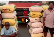 महासमुंद में ₹2.80 करोड़ का गांजा जब्त, महाराष्ट्र के दो आरोपी गिरफ्तार; ओडिशा से ले जा रहे थे खेप