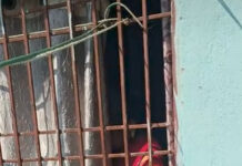 बलरामपुर के रामानुजगंज में दिव्यांग महिला का शव कमरे में फांसी पर लटका मिला, पुलिस जांच में जुटी
