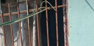 बलरामपुर के रामानुजगंज में दिव्यांग महिला का शव कमरे में फांसी पर लटका मिला, पुलिस जांच में जुटी