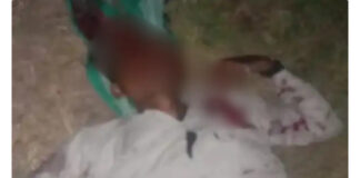 अंबिकापुर-बिलासपुर हाईवे पर दर्दनाक हादसा: पिकअप की टक्कर से बाइक सवार की मौत, साथी गंभीर घायल