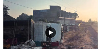 बलरामपुर में टमाटर से भरा पिकअप पलटा, सड़क पर बिखरी फसल; सड़क की खामियों पर उठे सवाल