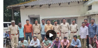 दंतेवाड़ा में पैंगोलिन तस्करी पर वन विभाग की बड़ी कार्रवाई, 6 आरोपी पकड़े; 14 किलो खाल और शल्क बरामद