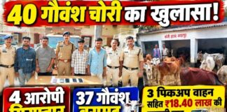 नरहरपुर में 40 गौवंश चोरी का खुलासा, 4 आरोपी गिरफ्तार; 37 गौवंश और 3 पिकअप समेत ₹18.40 लाख की जब्ती