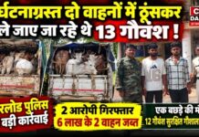 धमतरी में गौवंश तस्करी का खुलासा, दो वाहनों में मिले 13 गौवंश; 2 आरोपी गिरफ्तार
