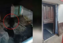 🚨 धमतरी में SBI कियोस्क संचालक पर 1.75 करोड़ की धोखाधड़ी का आरोप, 29 खाताधारकों के FD बॉन्ड बरामद
