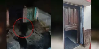ЁЯЪи рдзрдорддрд░реА рдореЗрдВ SBI рдХрд┐рдпреЛрд╕реНрдХ рд╕рдВрдЪрд╛рд▓рдХ рдкрд░ 1.75 рдХрд░реЛрдбрд╝ рдХреА рдзреЛрдЦрд╛рдзрдбрд╝реА рдХрд╛ рдЖрд░реЛрдк, 29 рдЦрд╛рддрд╛рдзрд╛рд░рдХреЛрдВ рдХреЗ FD рдмреЙрдиреНрдб рдмрд░рд╛рдордж