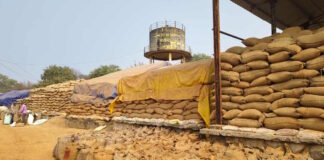 कवर्धा में धान खरीदी का हिसाब गड़बड़ाया! ₹17.63 करोड़ के धान का अंतर, 8 समितियों पर FIR के बाद भी भरपाई बाकी